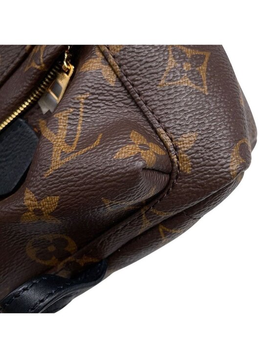Louis Vuitton Backpack Monogram Palm Spring Mini Bag Black main image 8